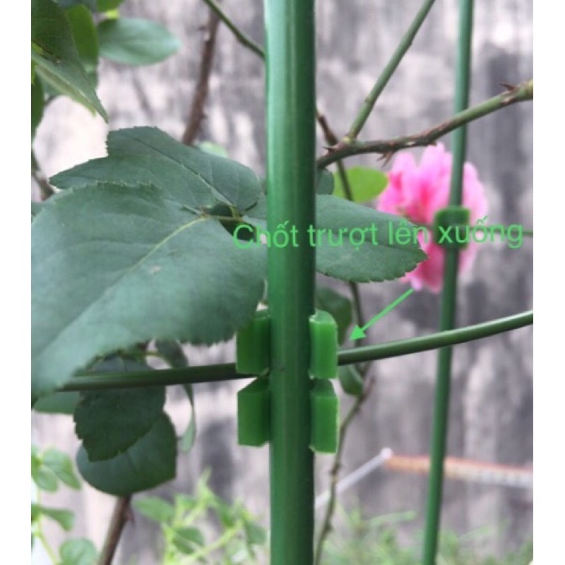 Khung đỡ hoa hồng, dây leo 45cm/60cm