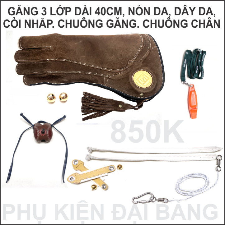 [HCM]Phụ kiện đại bàng ưng