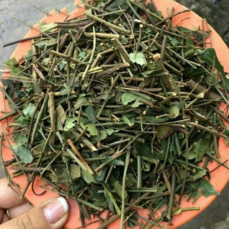 Chè vằng sẻ khô (gói 1kg) - DV004
