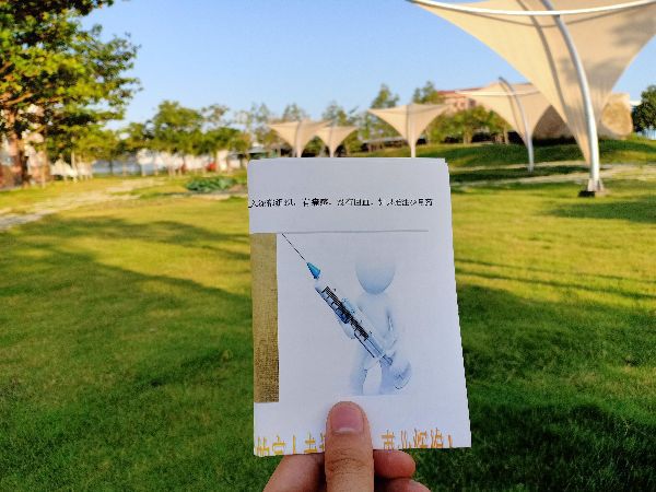 MÔ HÌNH DA luyện tập Tiêm truyền dịch Y TẾ