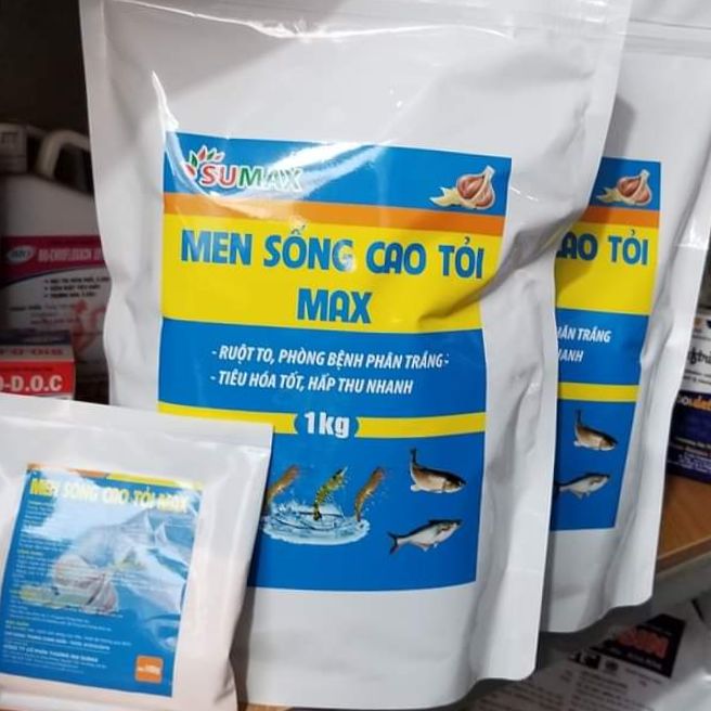 [men vi sinh cá tôm] MEN SỐNG CAO TỎI THỦY SẢN