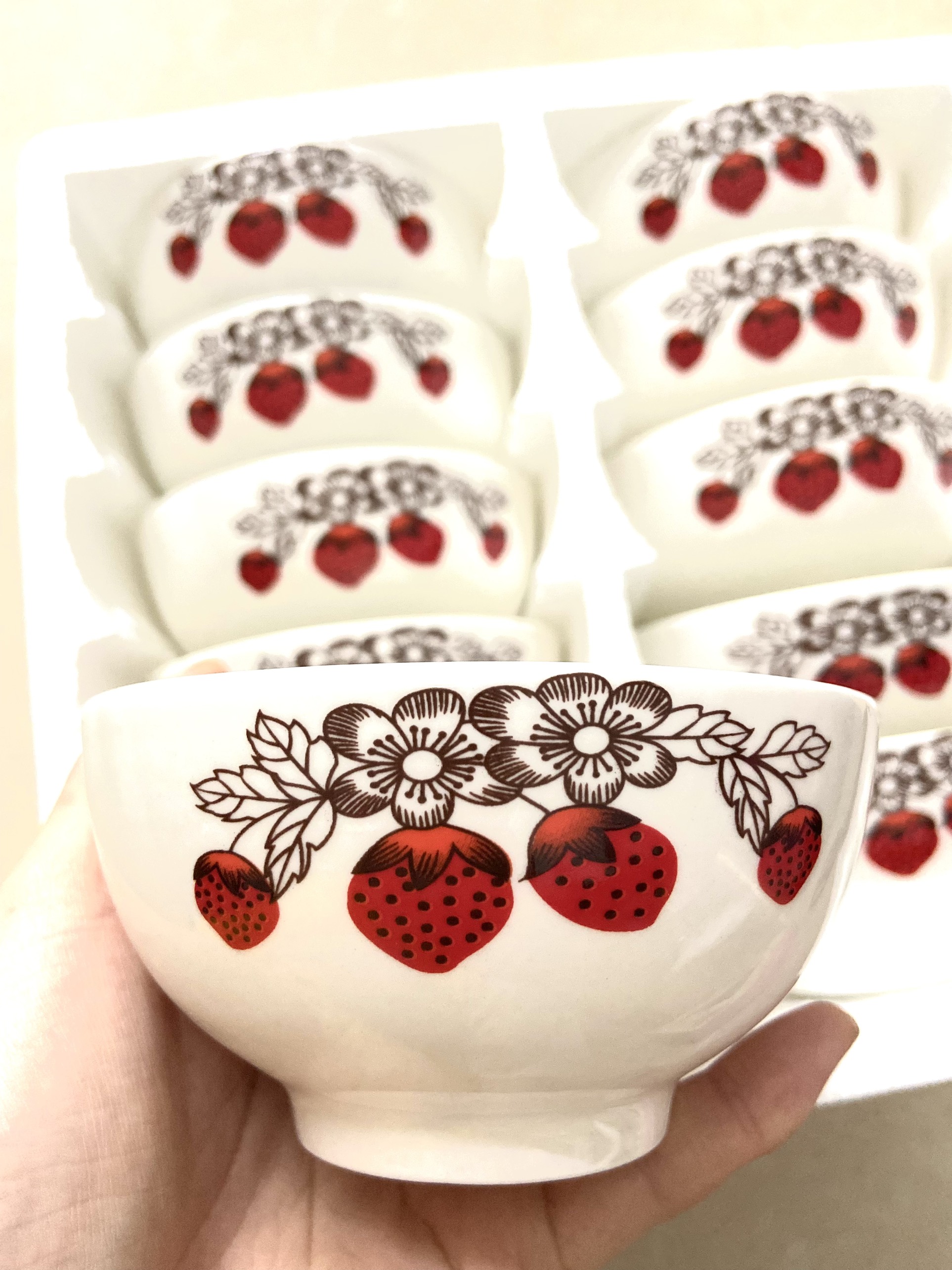 BỘ CHÉN SỨ OPAL 10 CÁI CAO CẤP- TÔ - CHÉN -ĐĨA- BỘ 10 CHÉN (giao mẫu ngẫu nhiên)