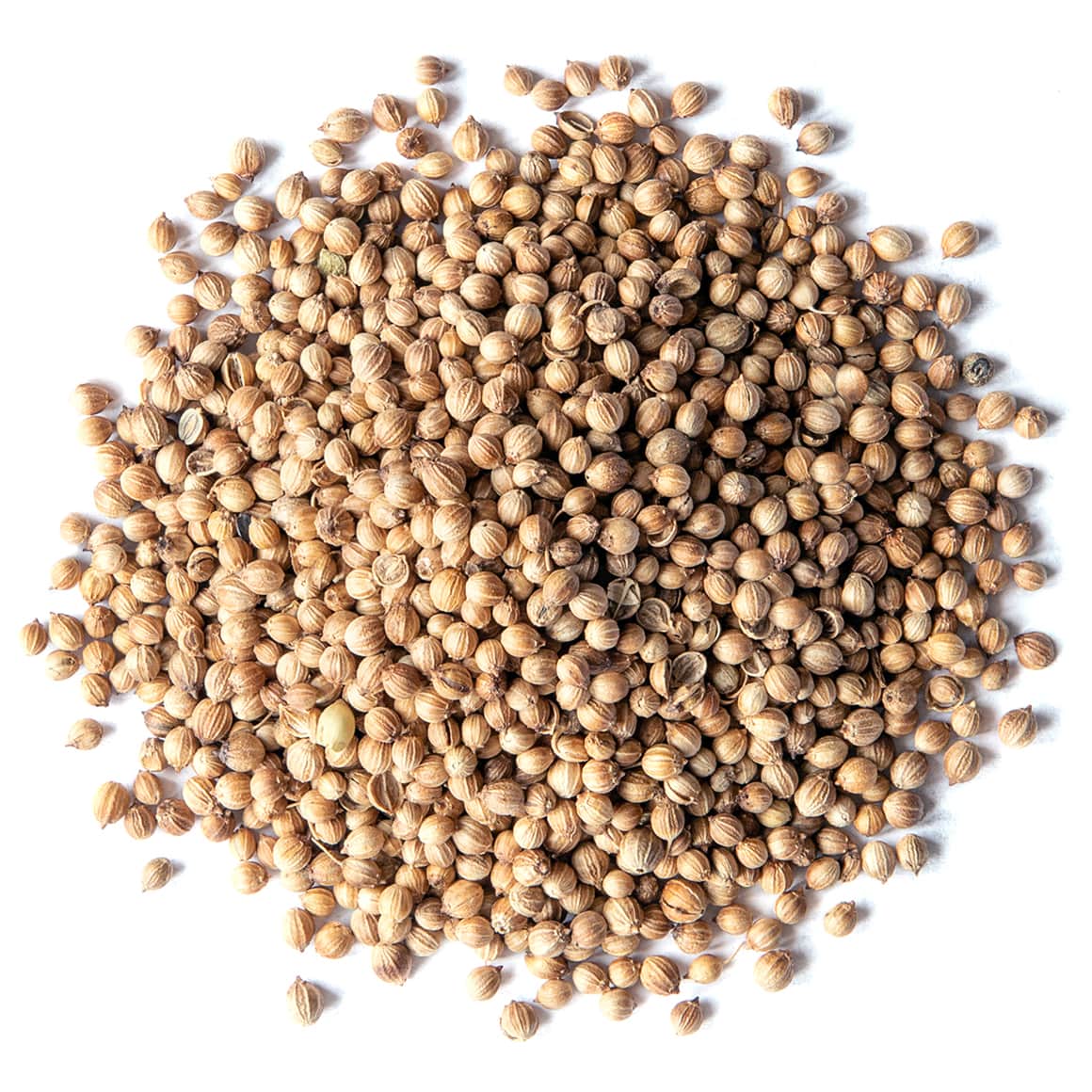 🌿 HẠT NGÒ (RAU MÙI) CORIANDER SEED ẤN ĐỘ 500G – GIA VỊ THƠM NỒNG, CHUẨN ẨM THỰC Á CHÂU 🌿