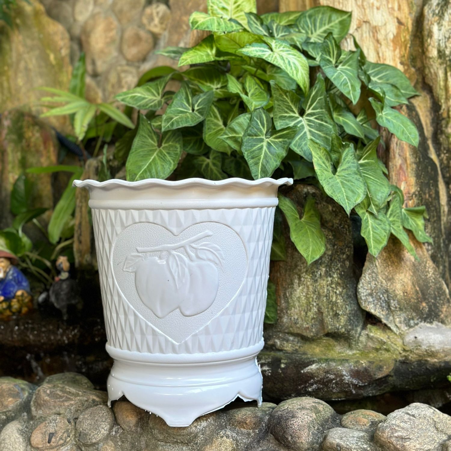 Combo 2 Chậu đào loại to đường kính 31cm