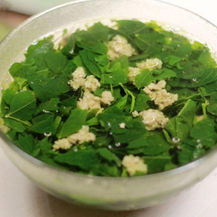 Hạt giống Chùm Ngây 03 (2g~10 hạt) nhiều công dụng, trồng quanh năm, tuổi thọ 5 năm - Hạt giống Rạng Đông