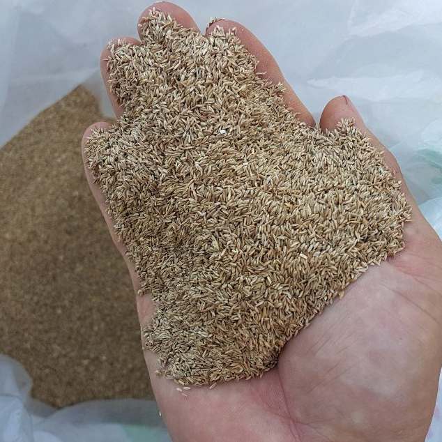 Hạt Giống Cỏ Bermuda Tự Nhiên Màu Xanh Mát - Gói 100gram Cho Sân Vườn 10m2