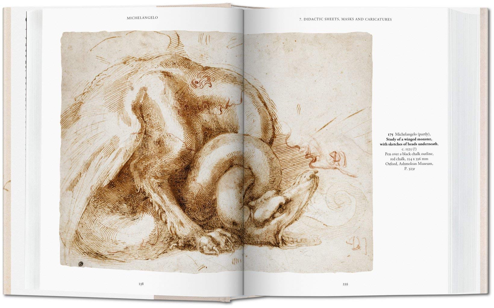 Artbook - Sách Tiếng Anh - Michelangelo. The Graphic Work
