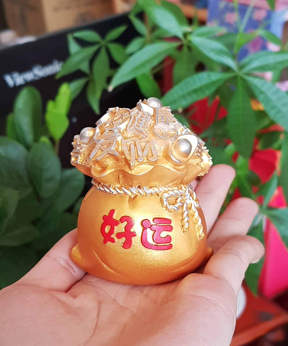[HCM]Chậu vàng may mắn Đa Phúc 7cm