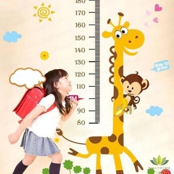 DECAL DÁN TƯỜNG ĐO CHIỀU CAO CHO BÉ / THƯỚC ĐO CHIỀU CAO CHO BÉ