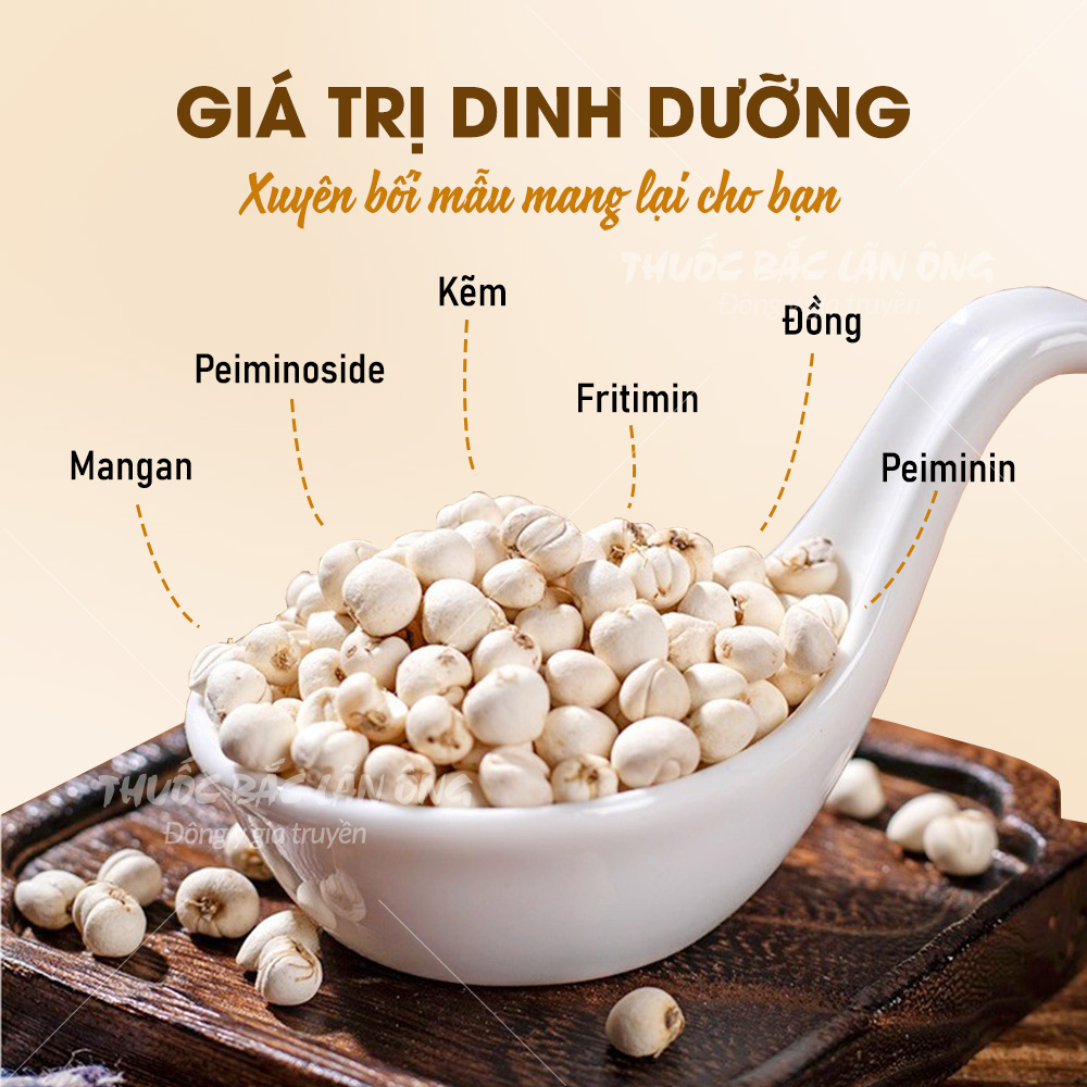 Xuyên bối mẫu 100g, bối mẫu tứ xuyên, khô, thơm, hạt đều, không lẫn tạp chất - Lãn Ông