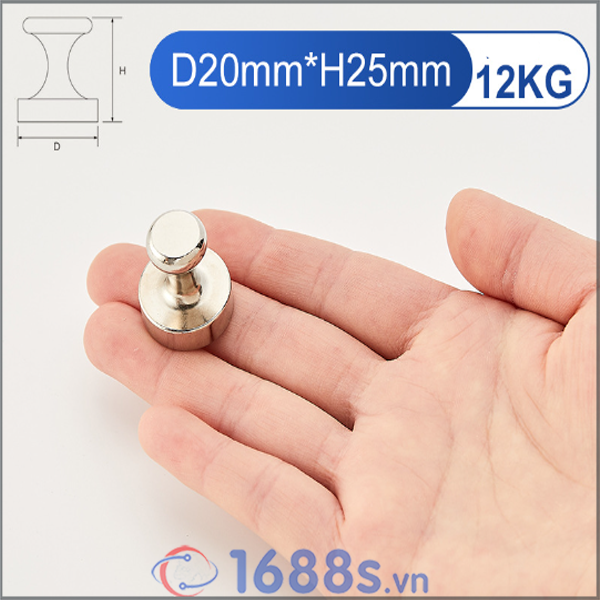 Nam châm núm inox đính bảng - 1688s.vn