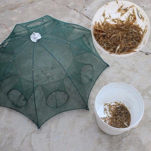 Lưới bắt cá