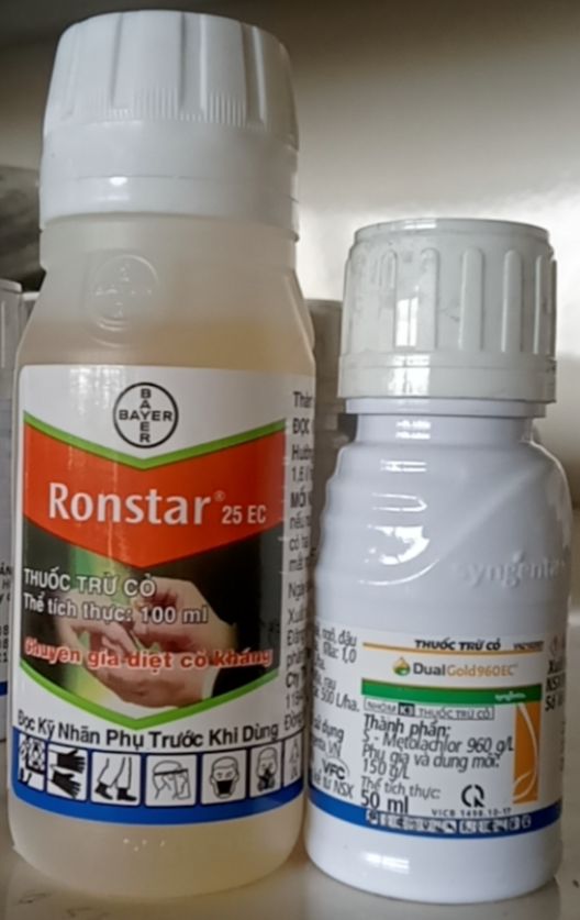 Cặp đôi thuốc diệt cỏ ronstar+ dual gold.