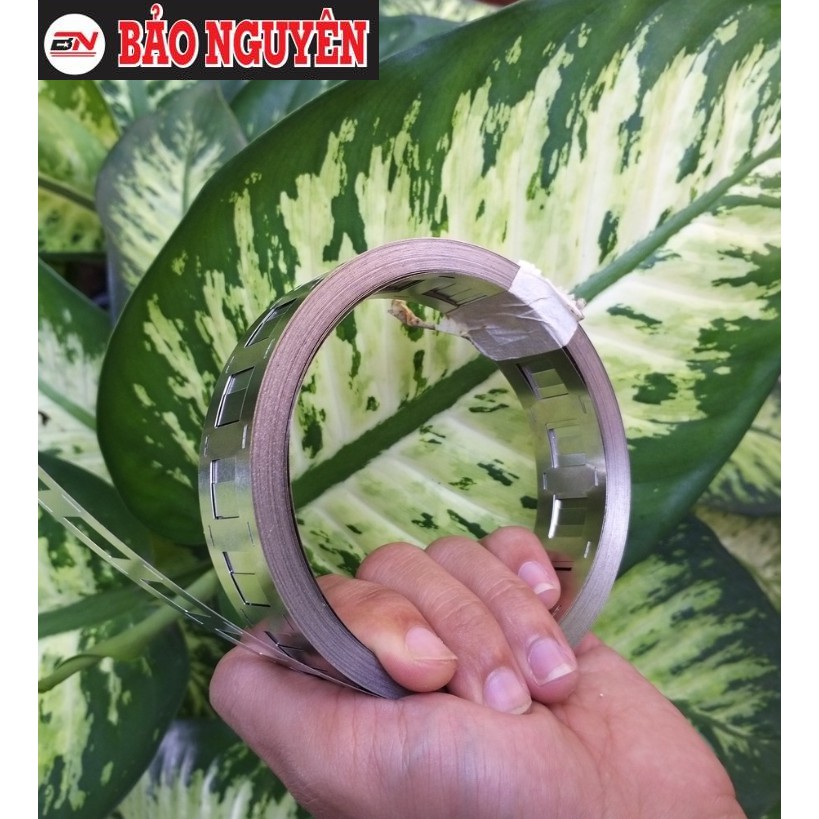 Kẽm Đôi 2 Hàng 0.2*27 Mm, Hàn Cell Pin 18650.