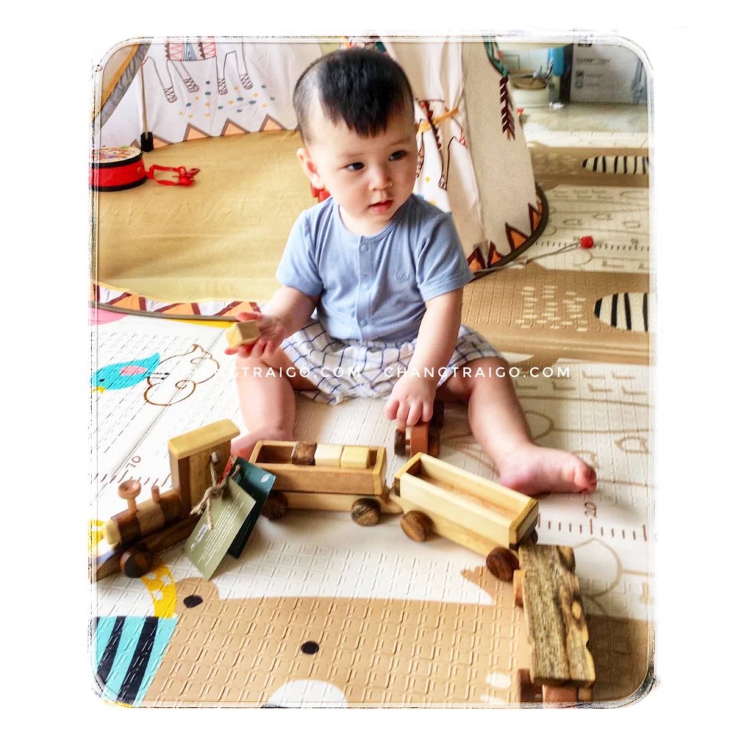 Combo 3 Món Đồ Chơi Gỗ Tự Nhiên Gemoni