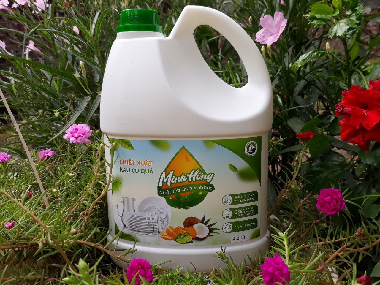 Nước rửa chén hữu cơ Minh Hồng 4.2l