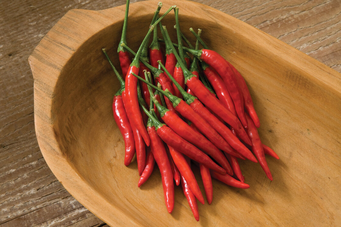 Gói 1 gam hạt giống cây Ớt Cay Chilli