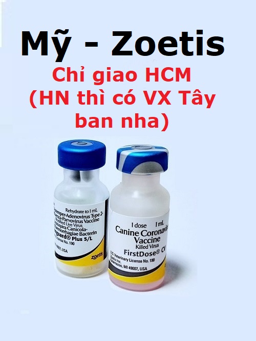 (Hoả tốc) Hướng dẫn tiêm vắc xin chó 7 bệnh (tặng bơm kim tiêm)