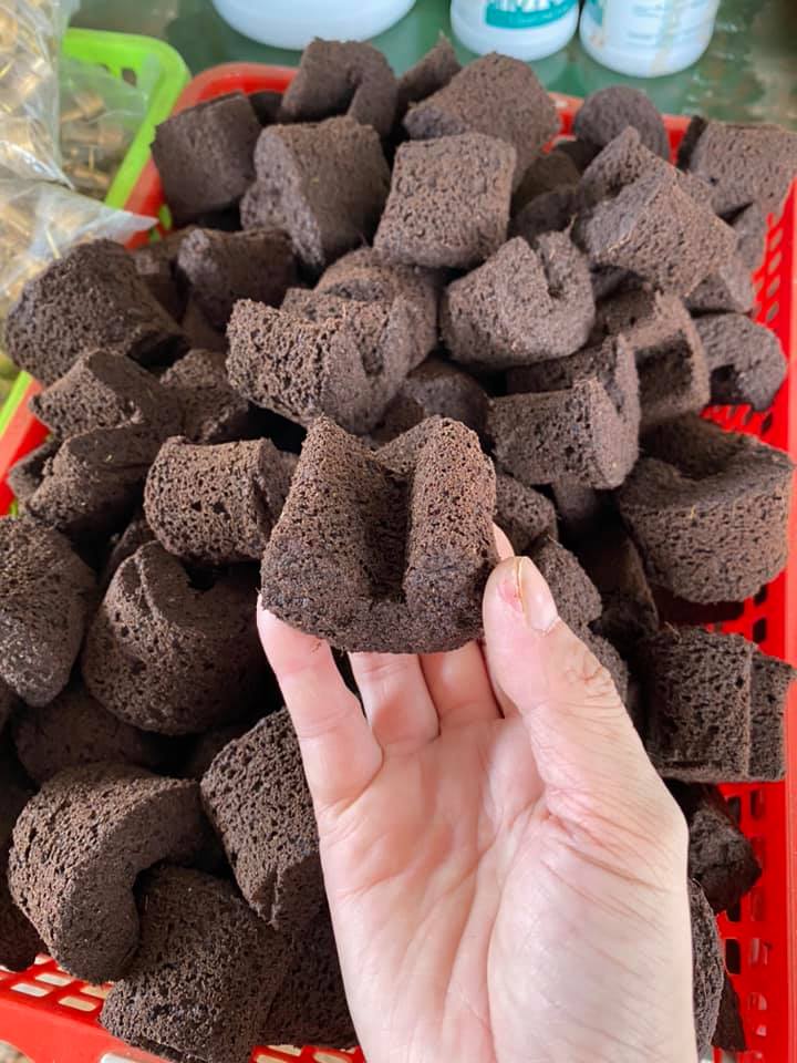 Mút ươm kie Hà Lan