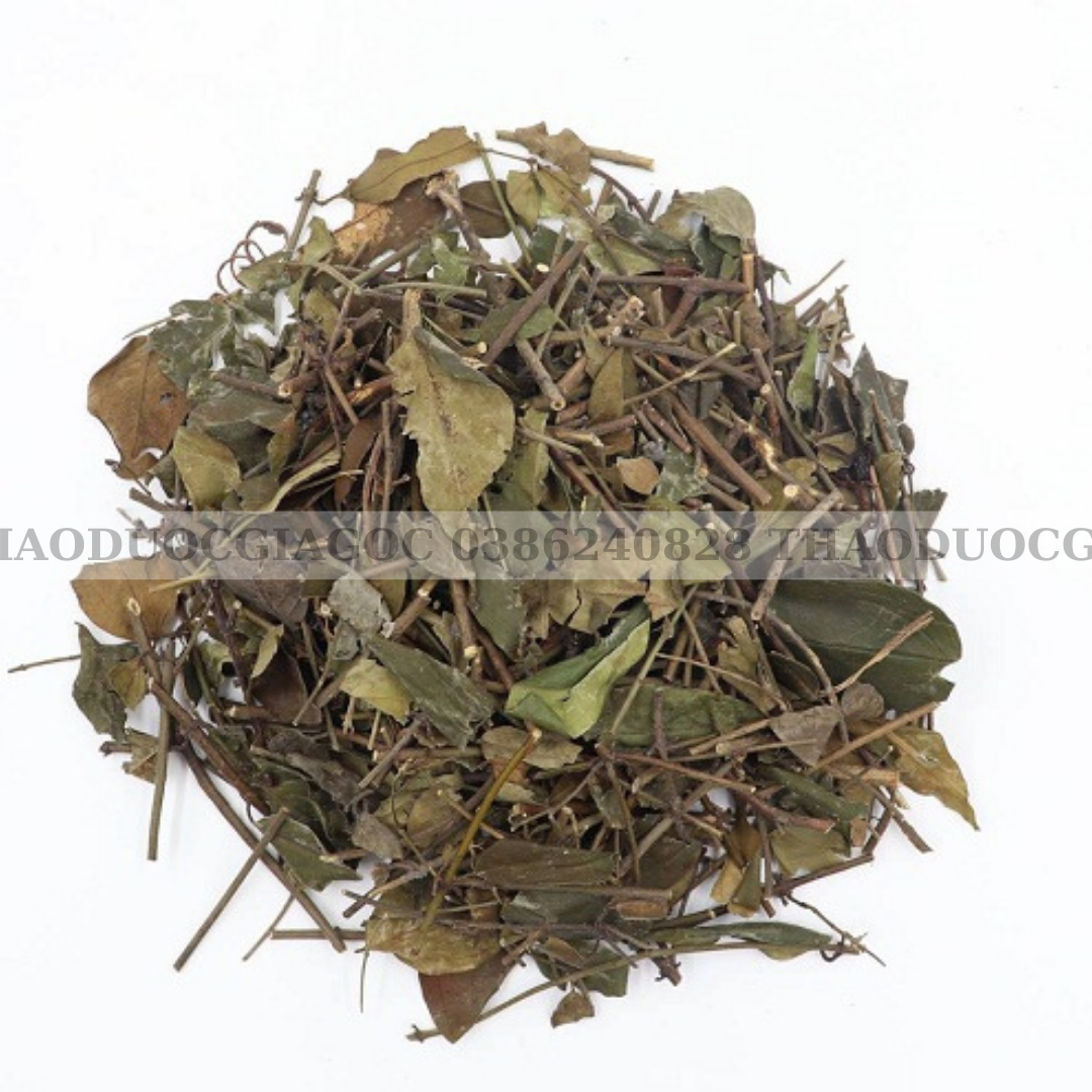 1kg dây thìa canh xanh sạch đẹp.