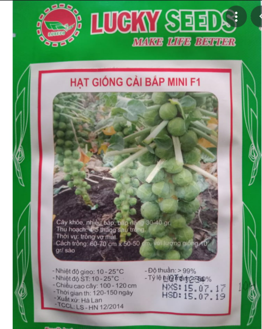 Hạt Giống Cải Bắp Mini F1 Gói 10 Hạt