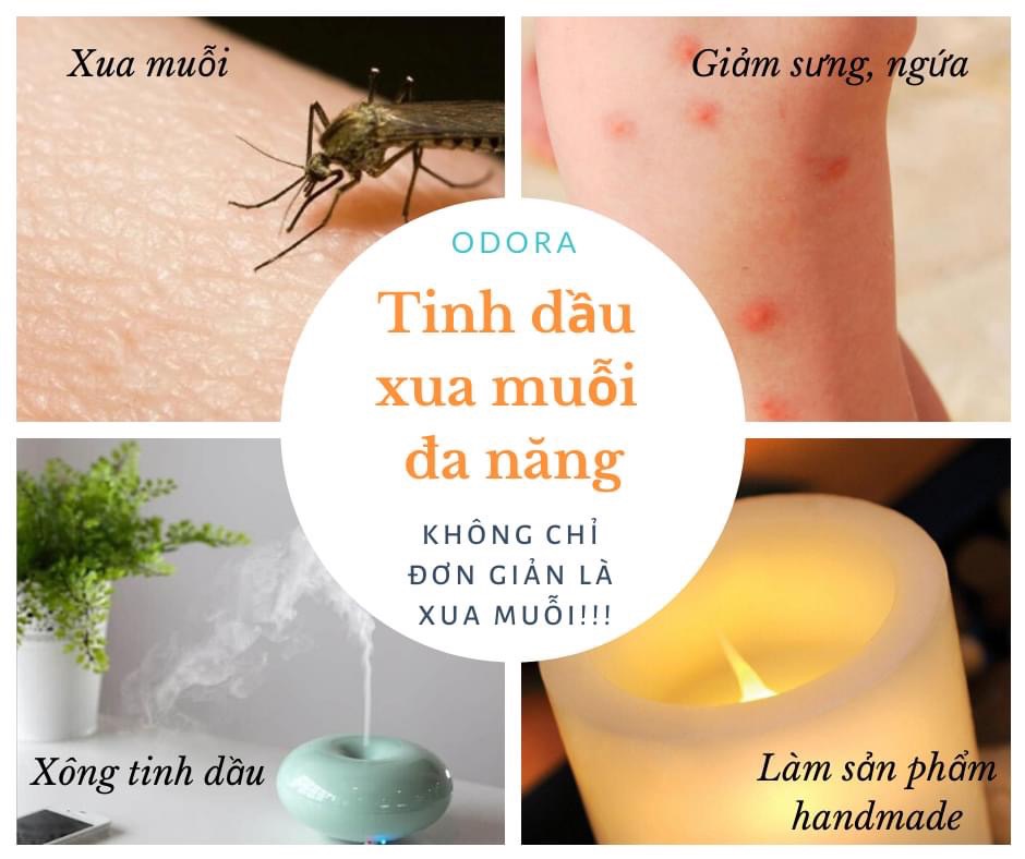 Tinh dầu xua muỗi ODORA