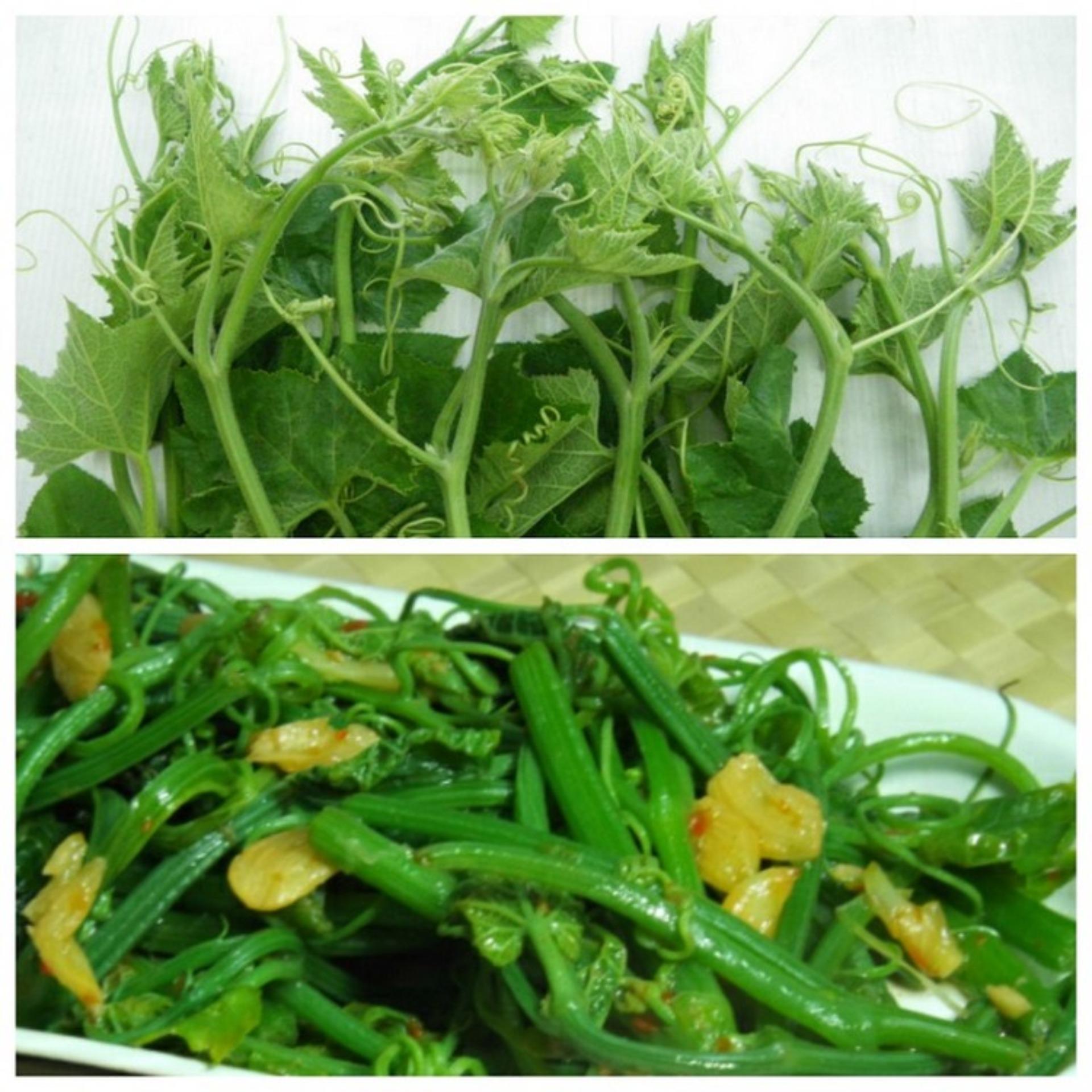 10g Hạt giống Bí Siêu đọt và bông