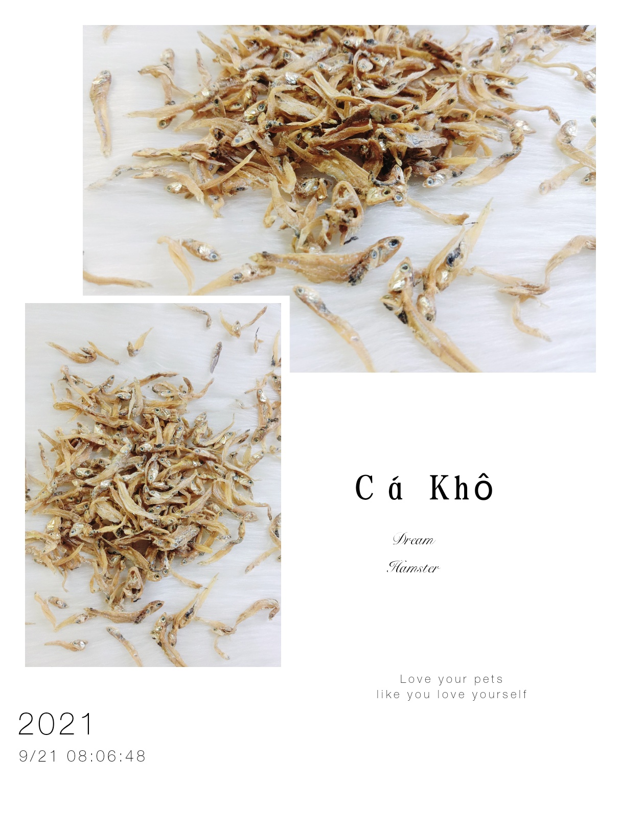 Cá khô cho Hamster (35gr)