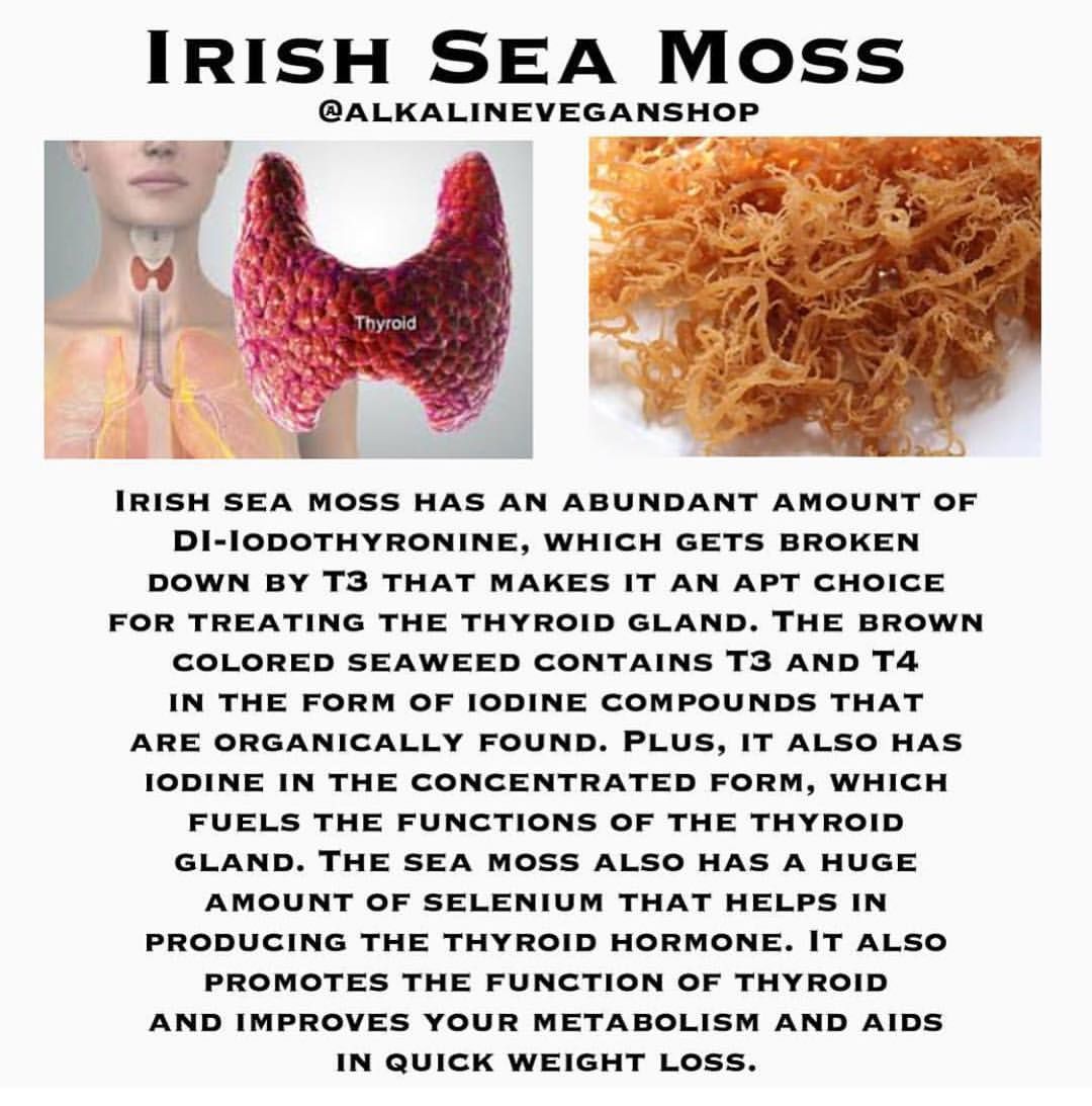 Rong biển Sea Moss (rong sụn, rong câu) Markus 453g