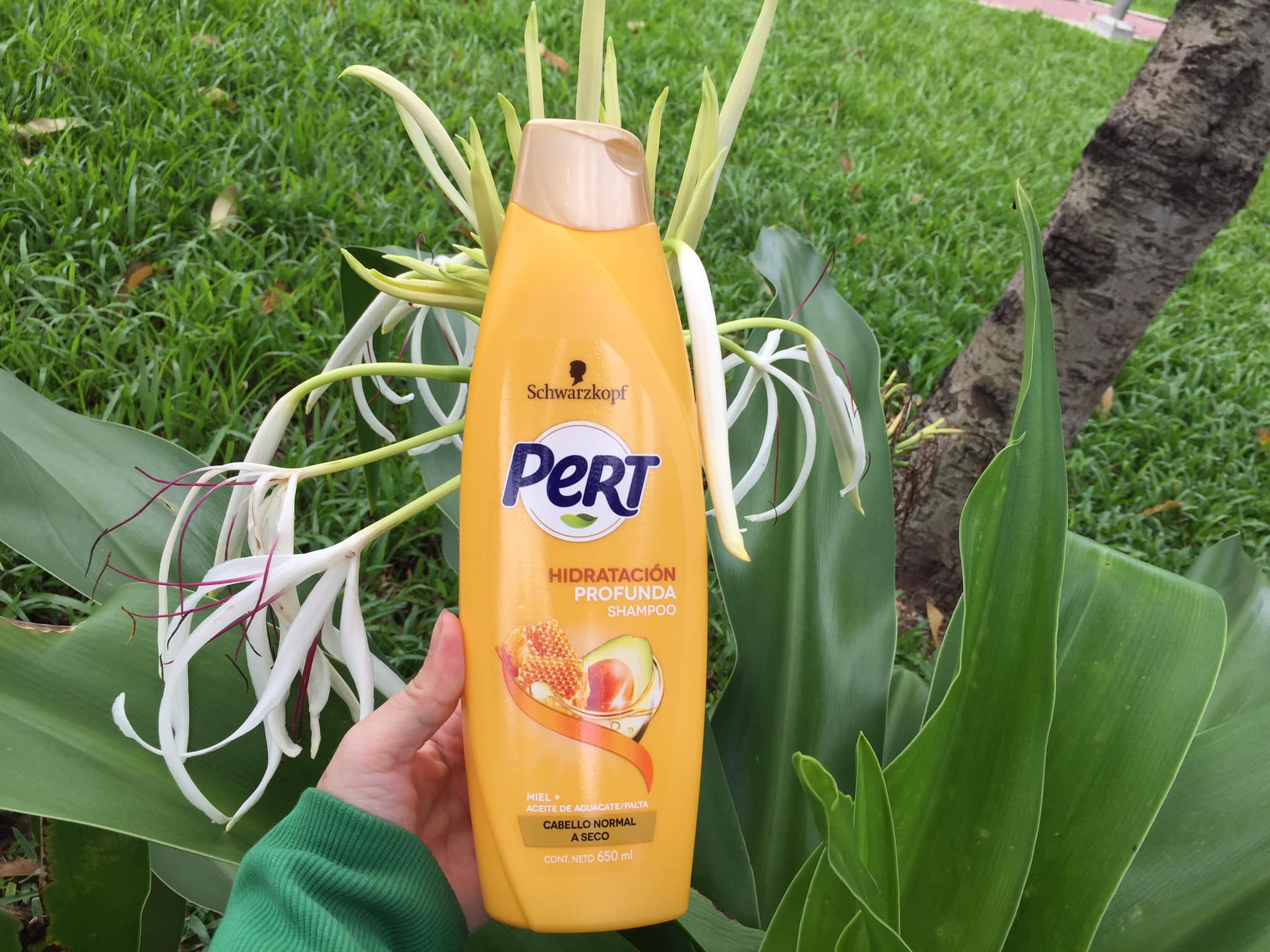 Dầu gội Pert Schwarzkopf 650 ml