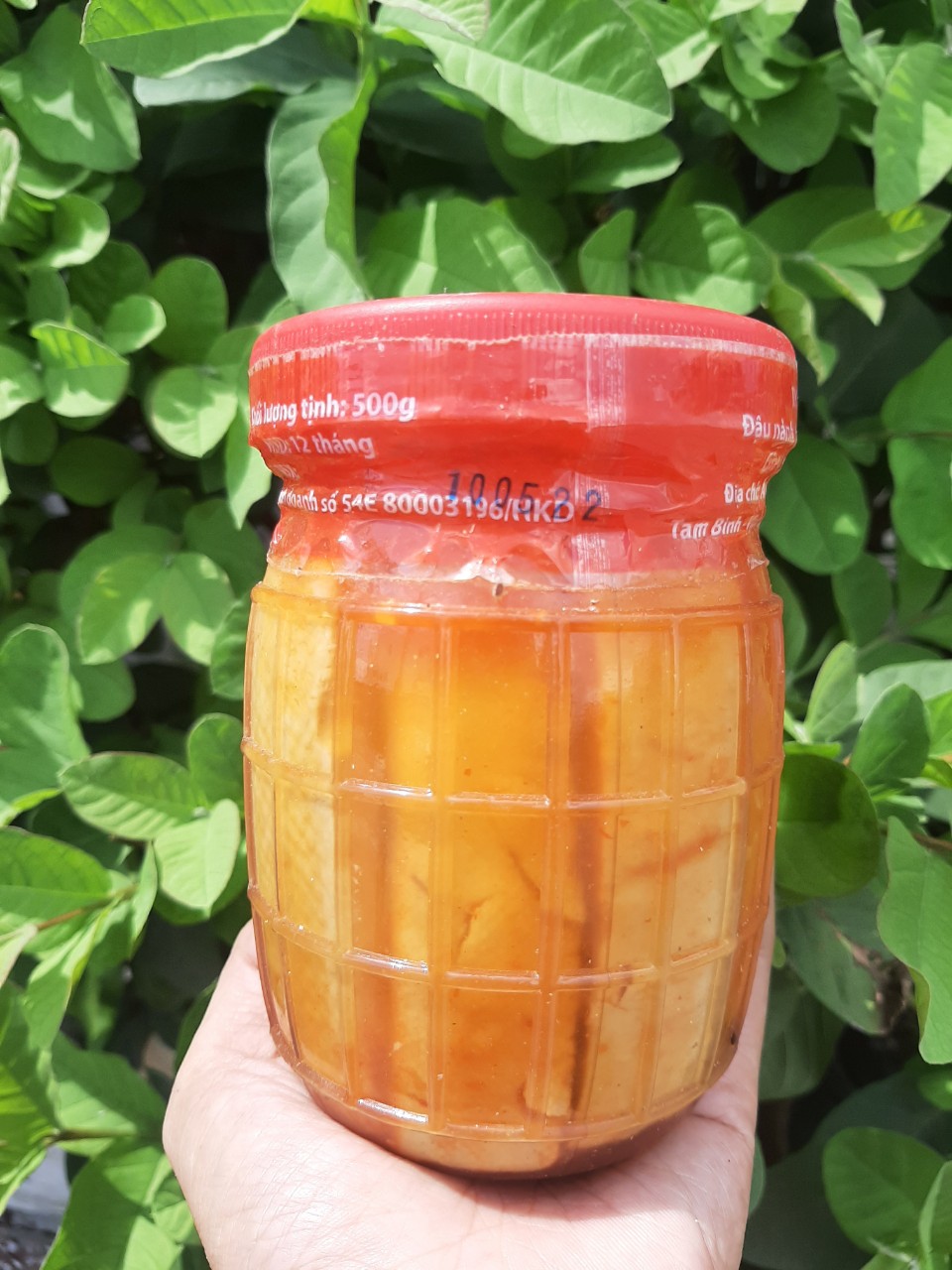 Chao Phước Hòa hủ đại 500g