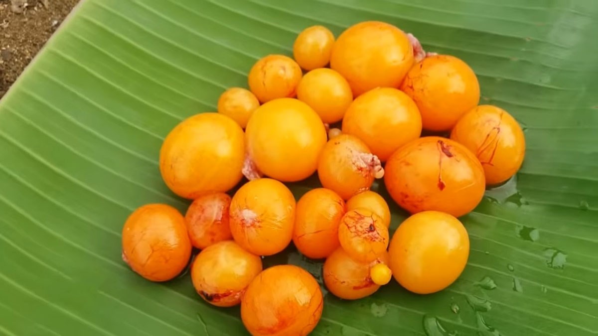 [Chỉ Giao HCM] Trứng Gà Non (500g)