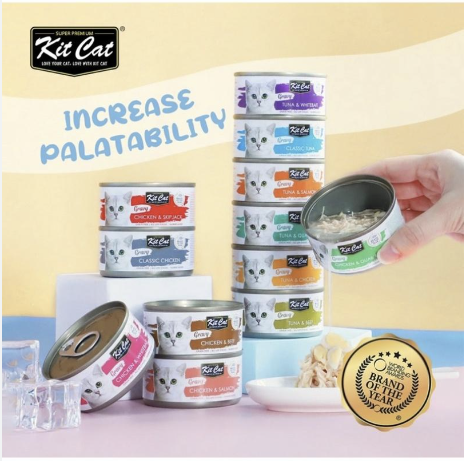 Pate Kit Cat Gravy cho mèo 70g