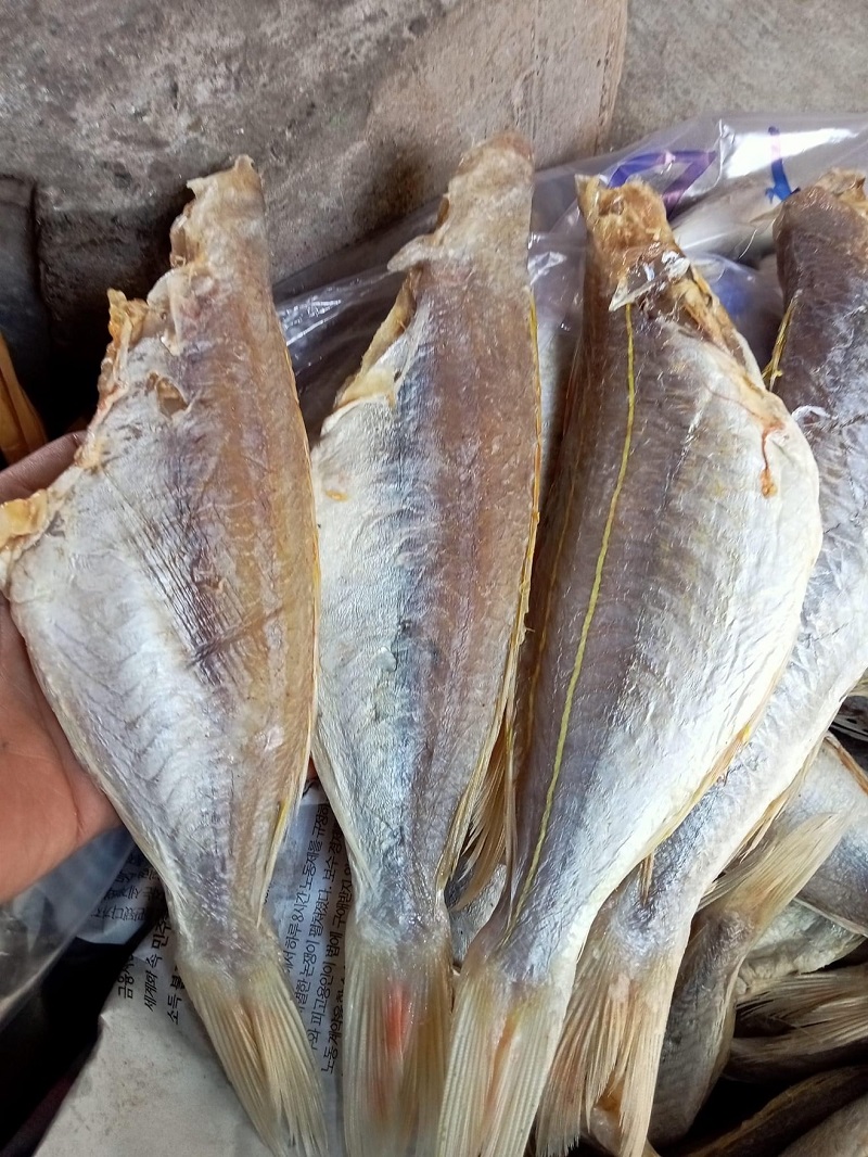 Khô cá đổng mướt cà mau - thịt chắc ngon 1kg/ 500gram/ 250gram