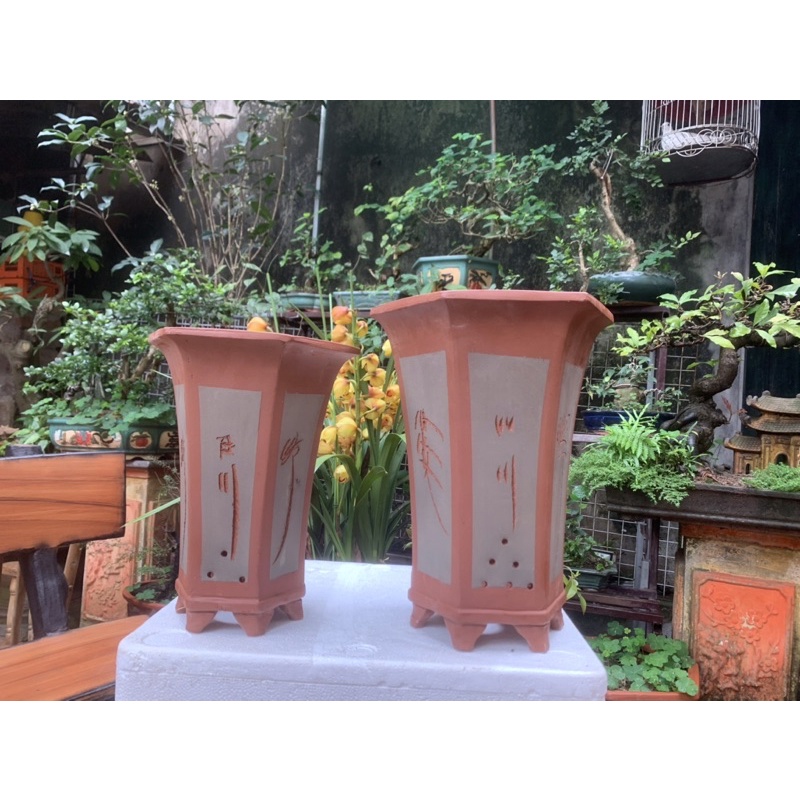 chậu lục dáng cao trồng cây thác đổ