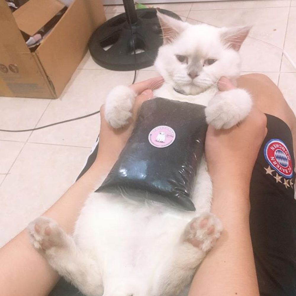 Combo đất dinh dưỡng trồng cây trồng lúa mạch