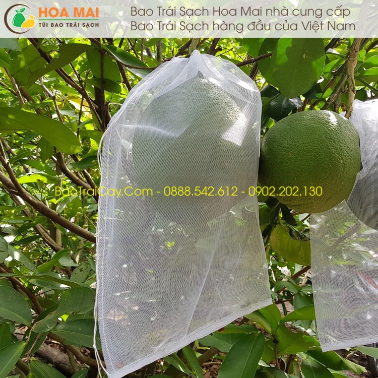 100 Túi bao bưởi 30x35cm Lưới Mùng Trơn