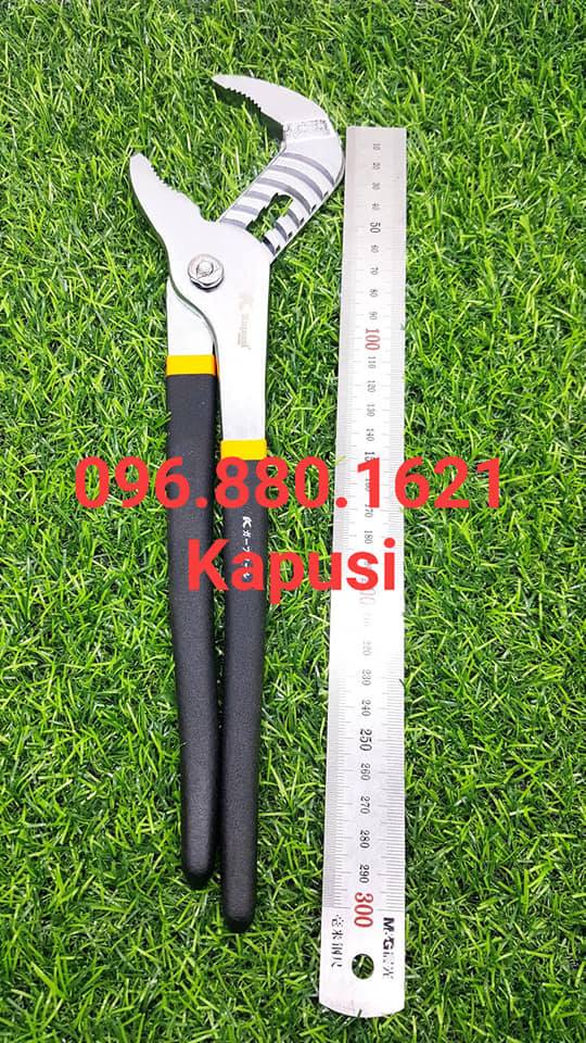 Kìm mỏ quạ 10in _k8379