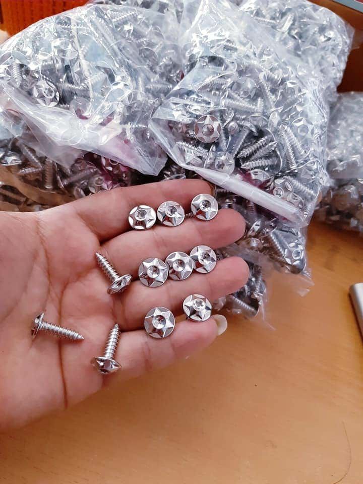 Bộ Ốc Salaya Cho Dàn Áo Sirius Xăng Cơ (1 bộ 20 con)