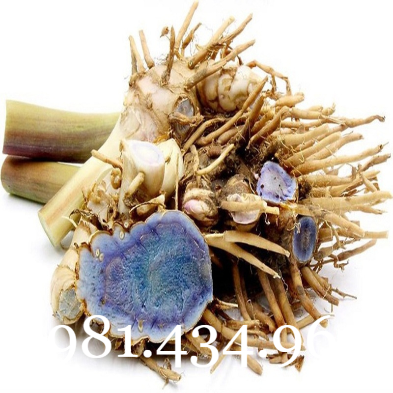 Nghệ Đen Tươi 01KG CHUẨN Đẹp
