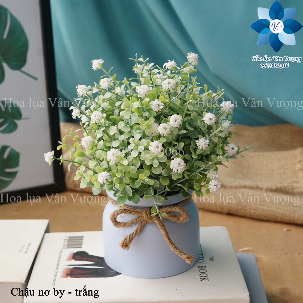 Hoa Giả Chậu Hoa Nhựa Để Bàn