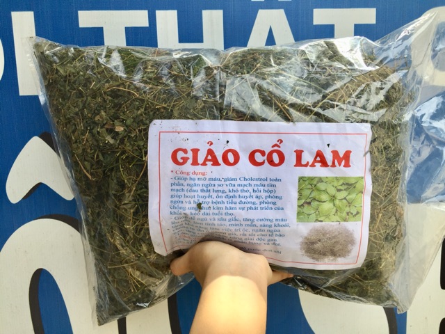 Giảo Cổ Lam 5 lá Hoà Bình -Đặc sản Hòa Bình 28