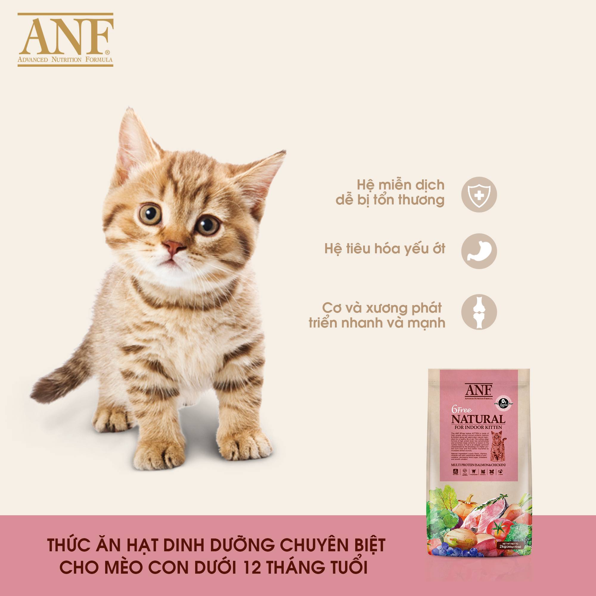 [6kg] THỨC ĂN HẠT CHO MÈO CON ANF 6 FREE INDOOR KITTEN