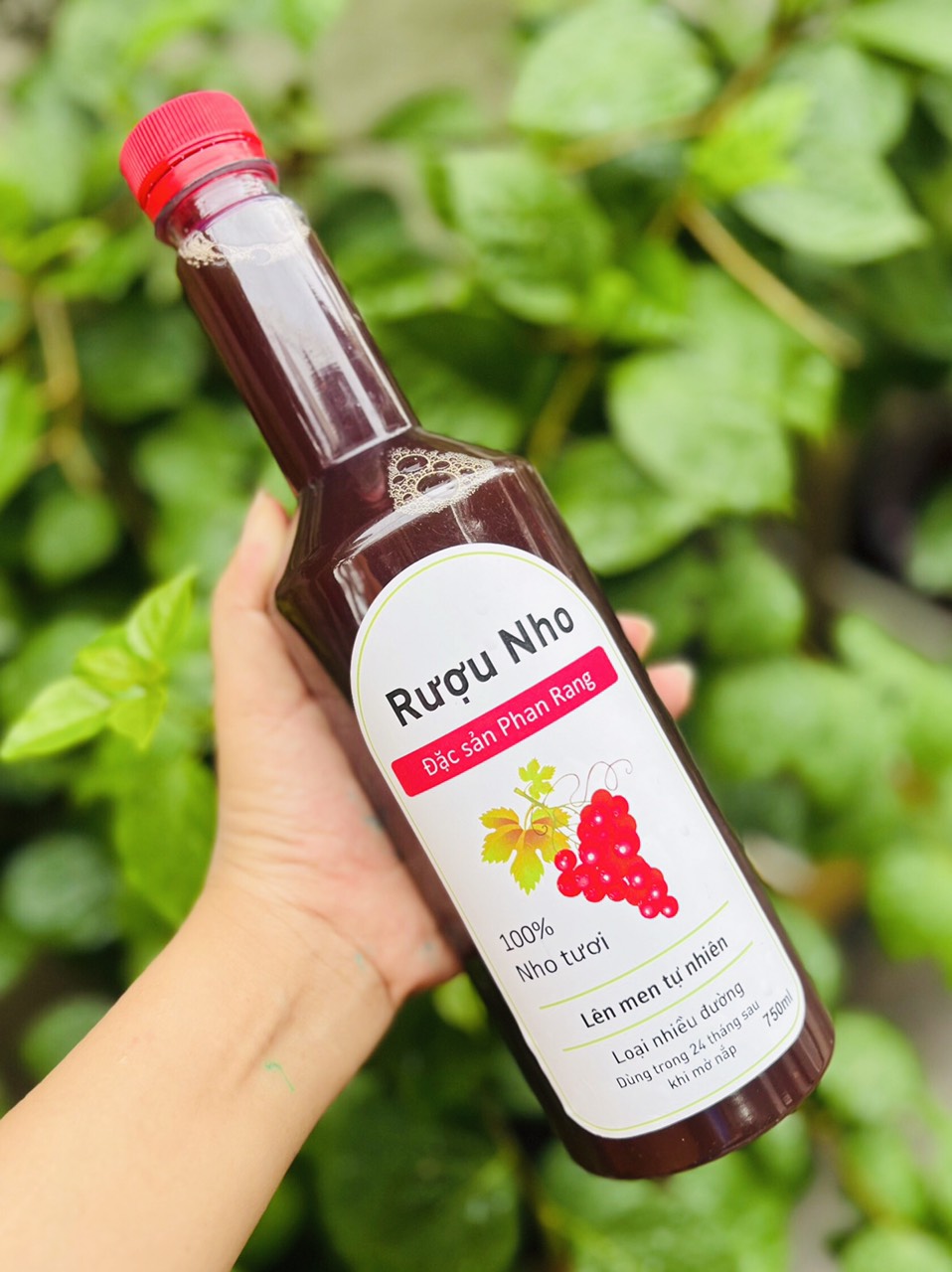 Fermented Grape Juice 750 ml [High Sugar Content]