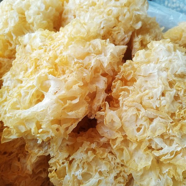 Nấm Tuyết Thượng Hạng 500g