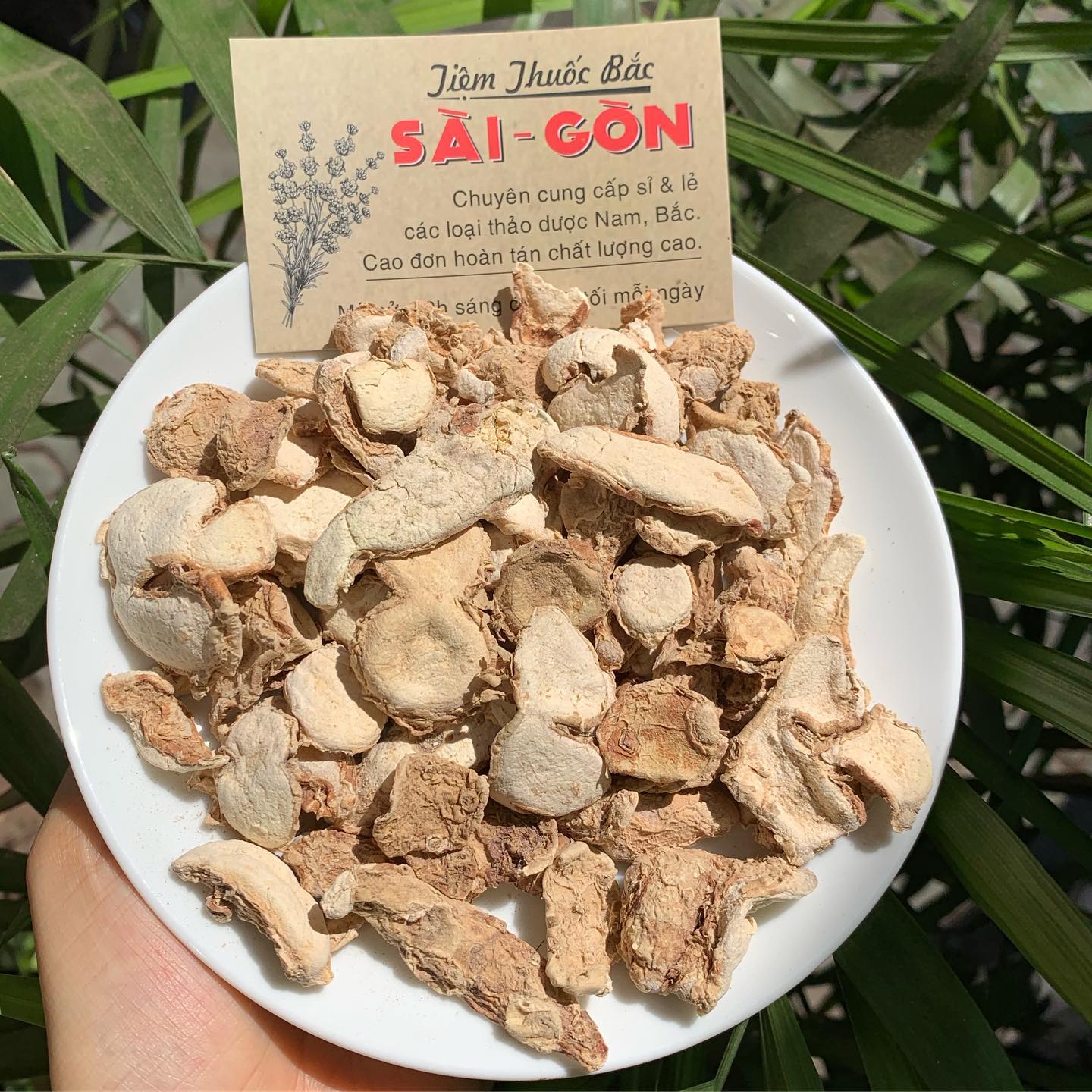 [HCM]TAM NẠI 100GRAM
