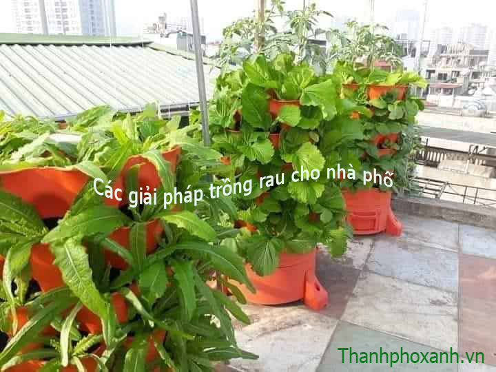 Tháp trồng rau hữu cơ Eco Việt Nam