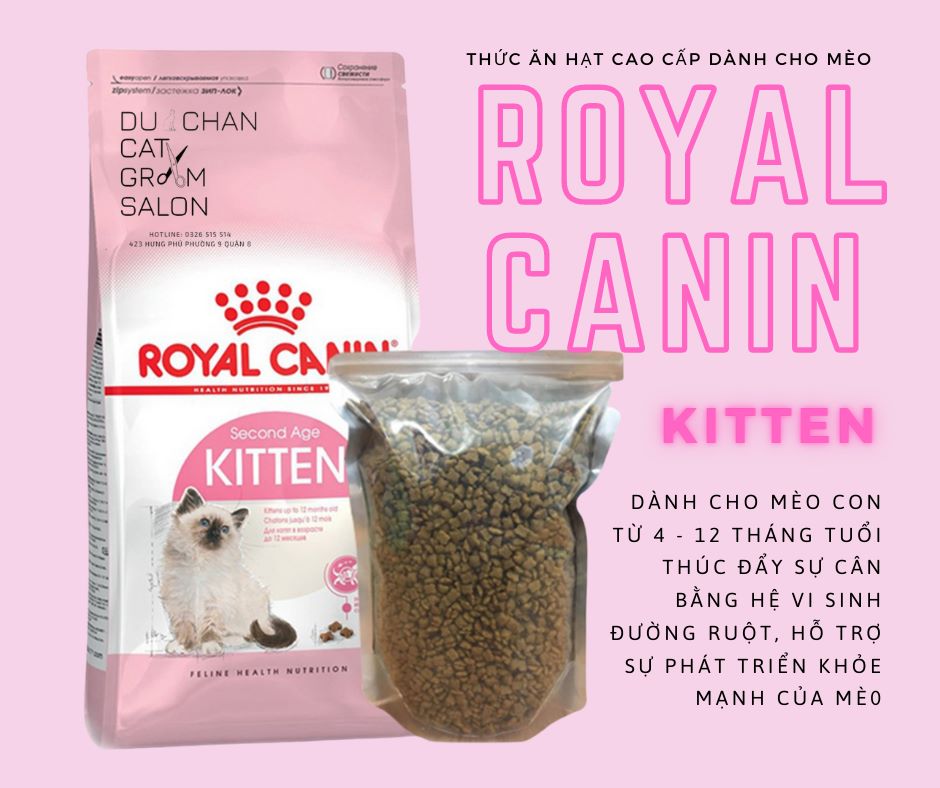 [HCM]Royal Canin KITTEN - THỨC ĂN HẠT DÀNH CHO MÈO CON