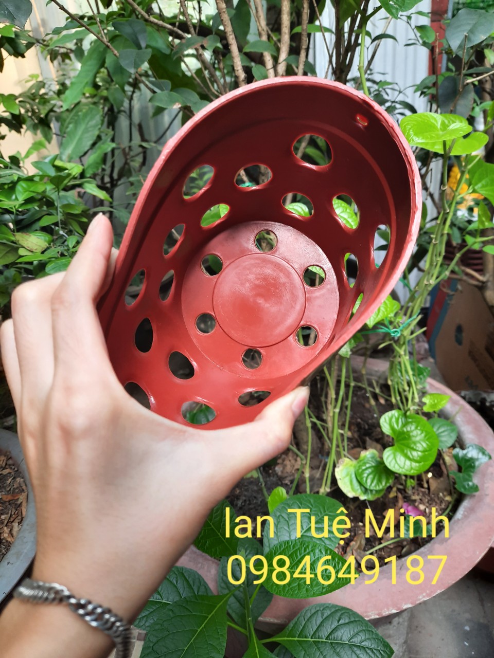 COMBO 10 CHẬU NHỰA TRỒNG LAN GIẢ GỐM CHẤT CỰC ĐẸP (CÓ THỂ CHỌN SIZE)