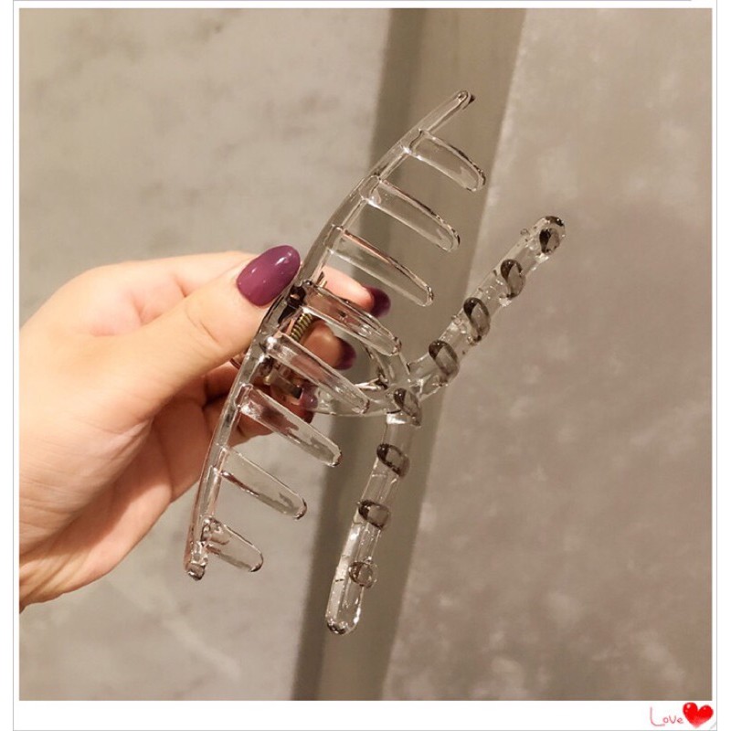 [Hot Trend] Kẹp tóc càng cua Limpid Y ♥︎ style Korean ♥︎
